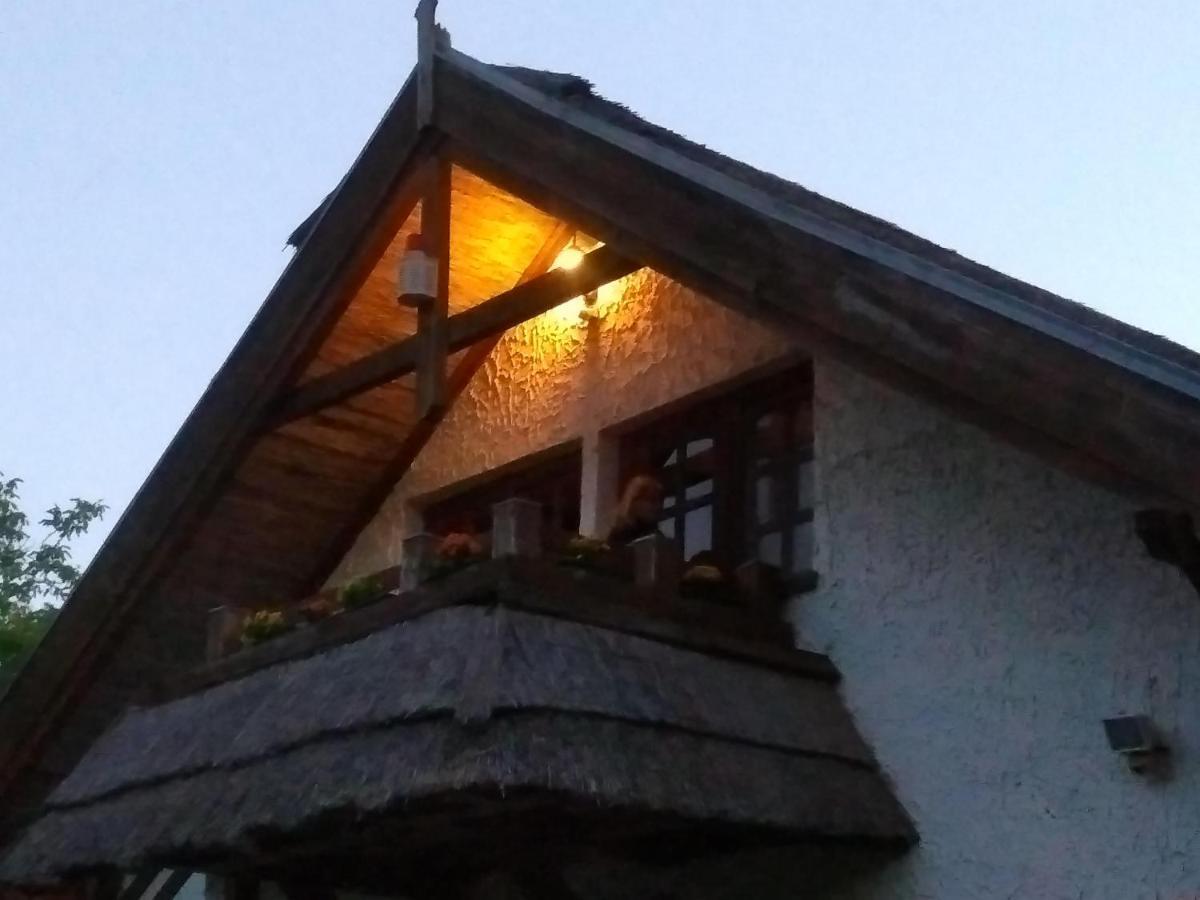 Haus Veronika Zamardi Luaran gambar