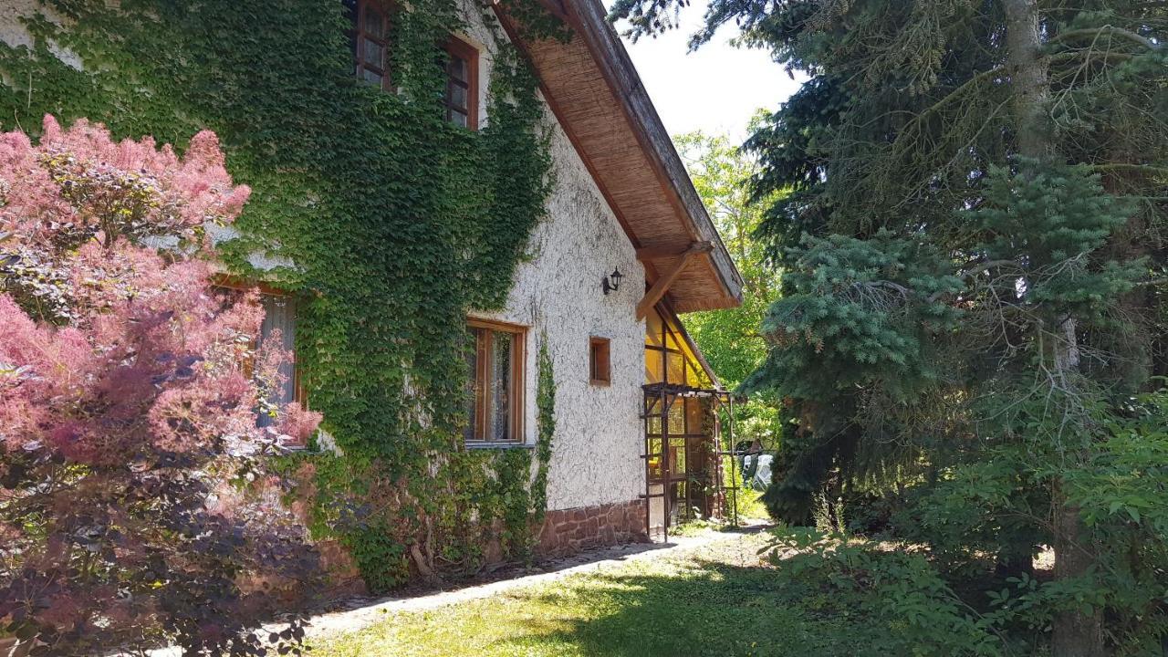 Haus Veronika Zamardi Luaran gambar